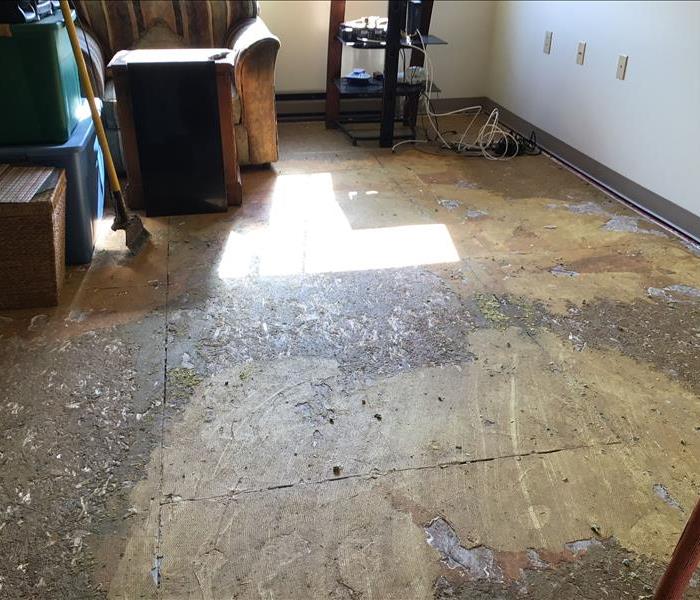 Exposed, stained subfloor with moved furnishings during biohazard cleanup
