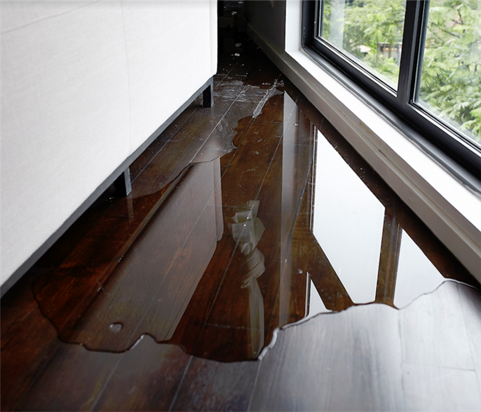 a puddle of water on the hardwood floor
