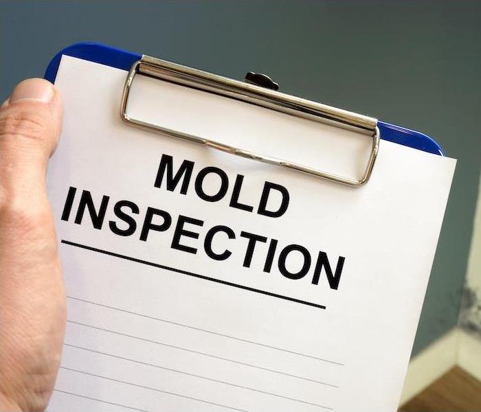 "Mold inspection"